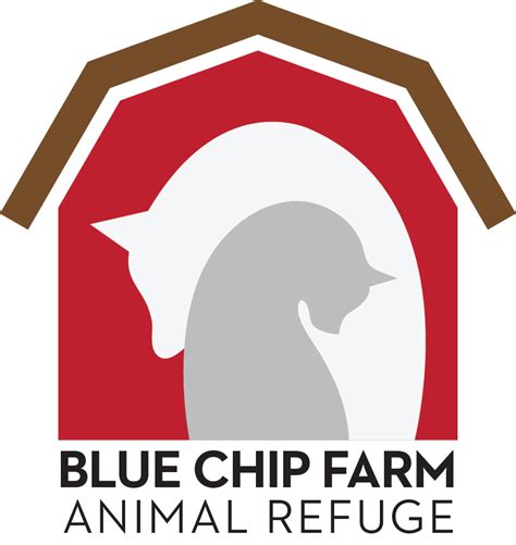 blue chip farm animal refuge